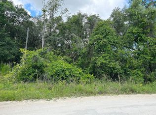 0 SE 634th St, Old Town, FL 32680