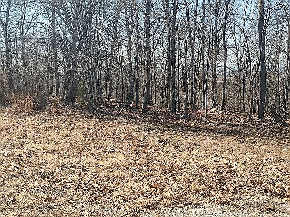 4th image of 1 Red Hill Rd