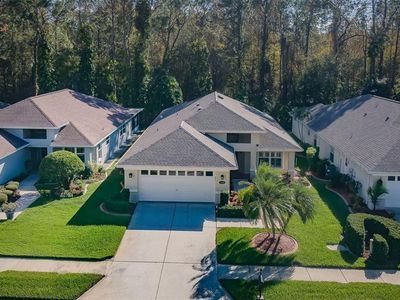 1100 Trafalgar Dr, New Port Richey, FL, 34655