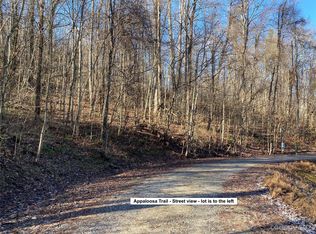28 Appaloosa Trl, Waynesville, NC 28785