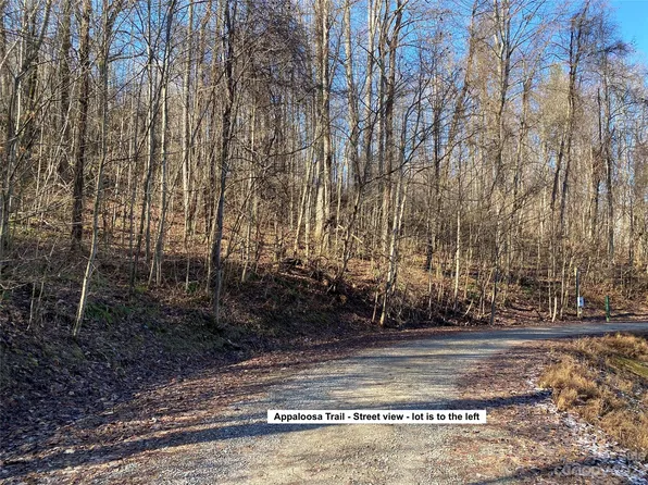28 Appaloosa Trl, Waynesville, NC 28785