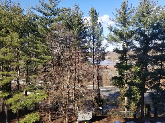 View of the lake from the master bedroom window