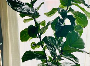 34012 Granada Dr APT B, Dana Point, CA 92629