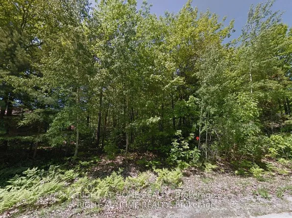 2 Birchwood Trl, Wasaga Beach, ON L9Z 1B3