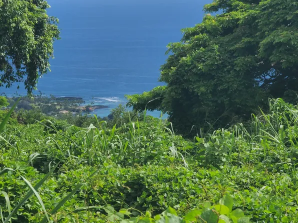 77-6307 Kaumalumalu Dr Lot 11, Holualoa, HI 96725