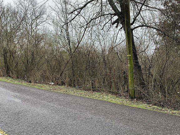 4th image of 2825 Old Buena Vista Rd