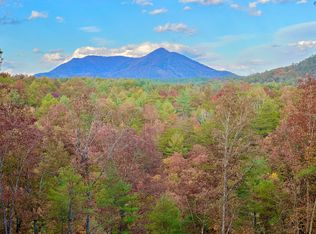 8 Overlook Way #A, Clifton Forge, VA 24422