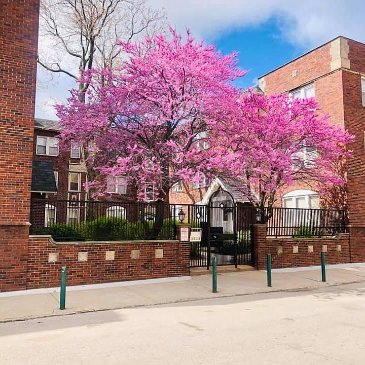 1st image of 2223 Jones St APT 12