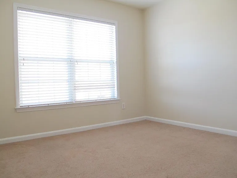 284 Wedmore Ct — Photo 18