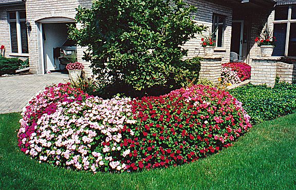 4th image of 1484 Cress Creek Ct