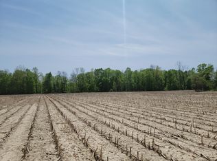 Leonard Rd, Nunica, MI 49448