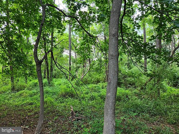 4th image of 485 N Hershey Rd