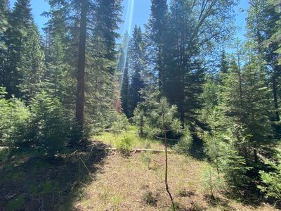 2-B-16 Rocky Ridge Way, McCloud, CA, 96057