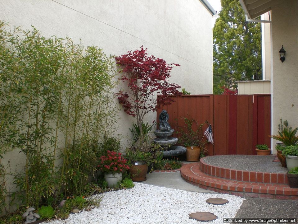 Side Front Yard