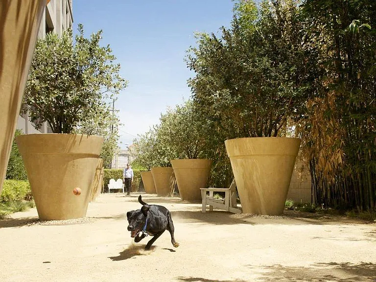 Private dog park
