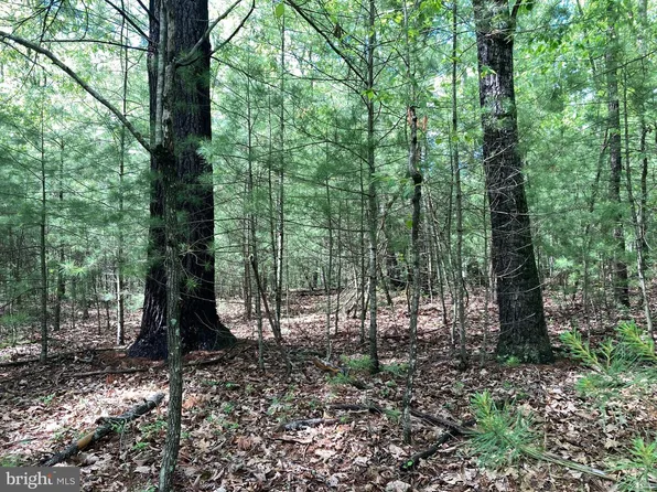 L7 Quaker Woods Ln, Capon Bridge, WV 26711