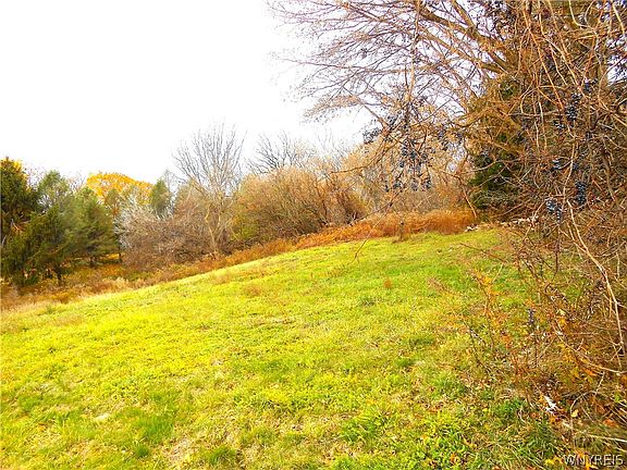 5th image of 10446 Alexander Rd