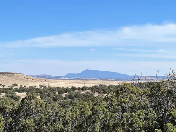421 Cimarron Dr, Quemado, NM 87829