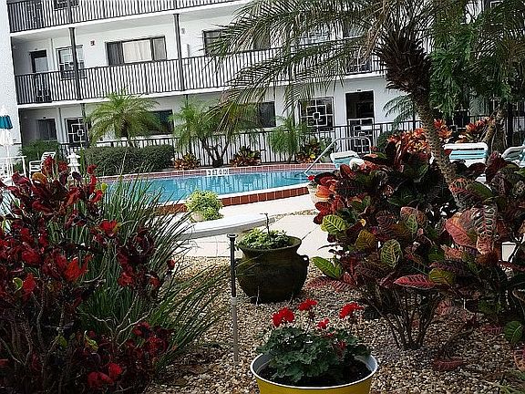 Landscaped pool area