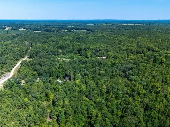 0 Branch Hebron Rd, Greenville, GA 30222