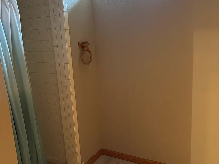 Basement bathroom