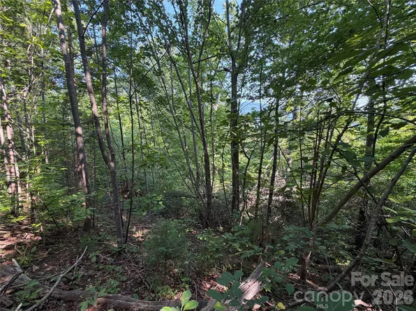 0 Holland Dr Lot 24, Columbus, NC 28722