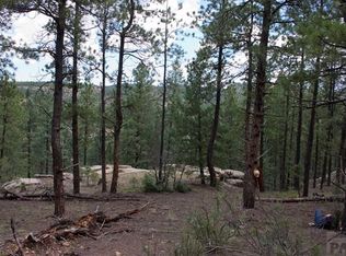 Tbd Timber Rdg, Weston, CO 81091