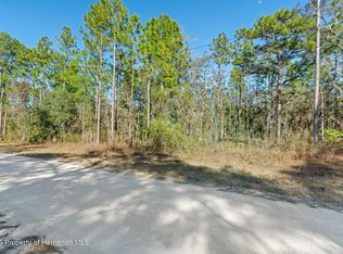 16046 Magpie Rd, Weeki Wachee, FL 34614