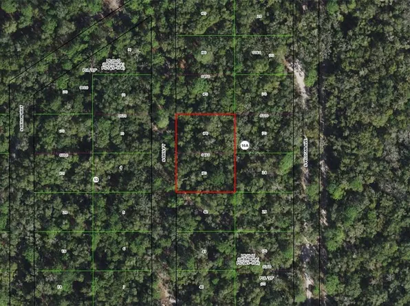 3927 S Ibis Point, Inverness, FL 34450