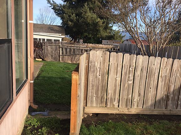 two sides of the back yard