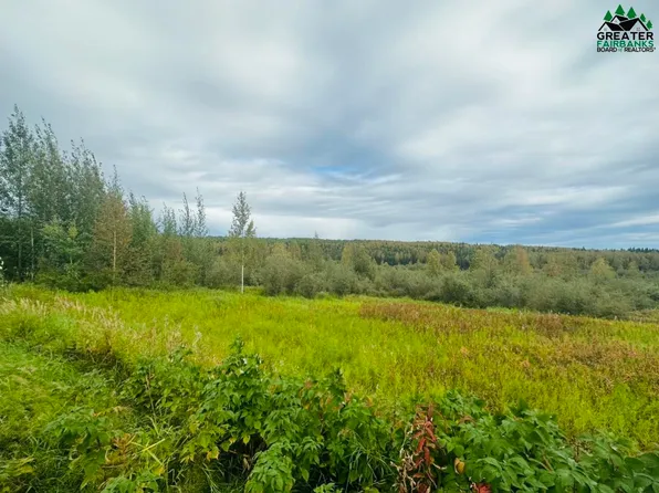 Nhn Fabian Dr Lot 5, Fairbanks, AK 99712