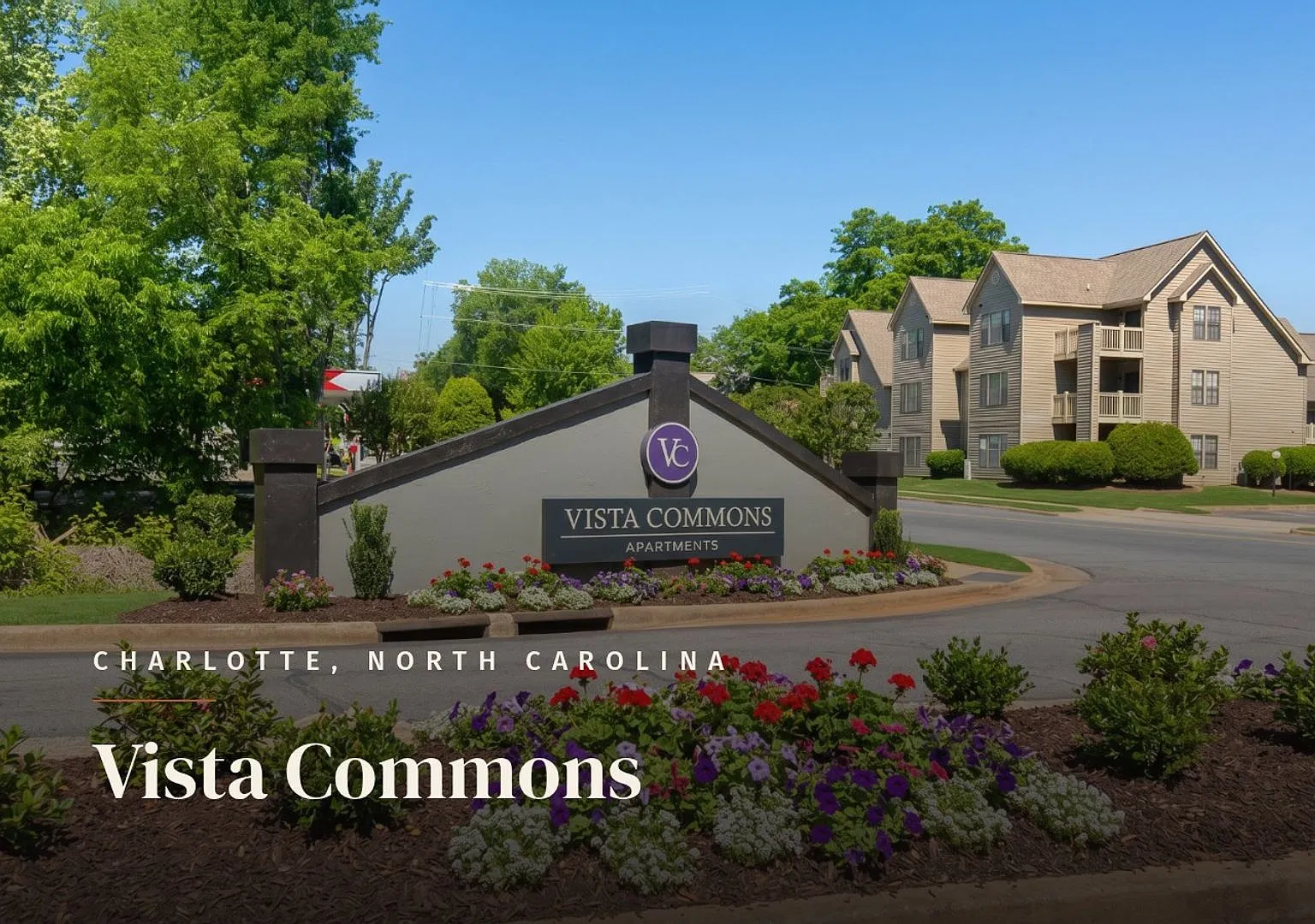 Vista Commons — Photo 2