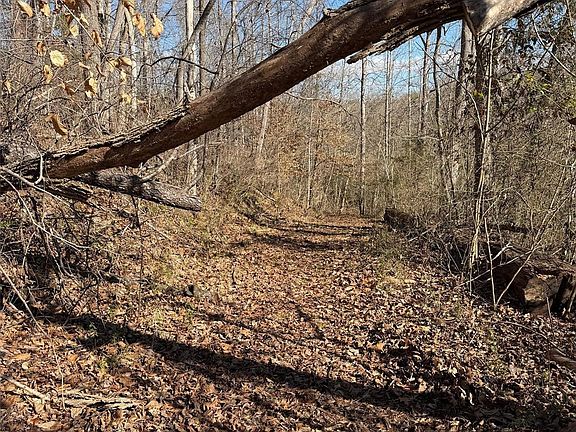2nd image of 0 E Rambling Creek Dr #11