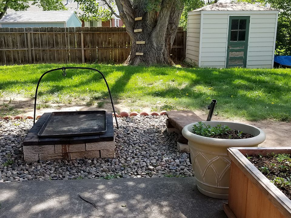 backyard in summer