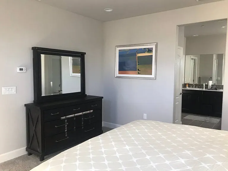1004 Green Zebra Ter — Photo 16