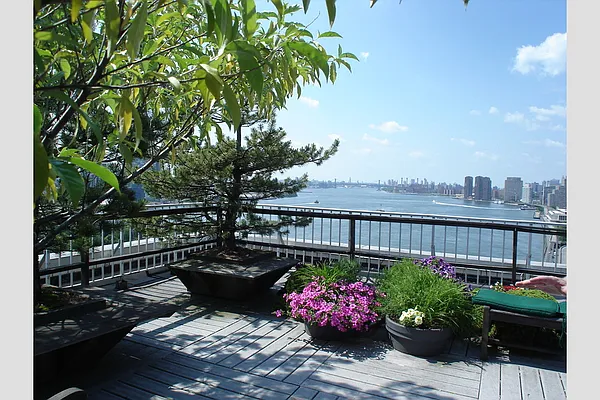 Sold by Stribling | media 45