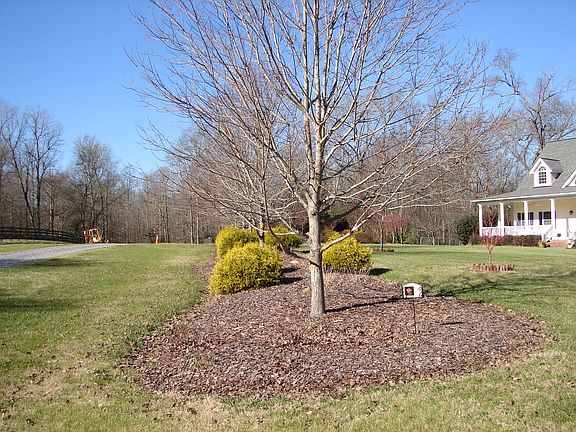 front southern exposure