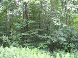 LOT #100 Woods Avenue, Birchwood, WI 54817