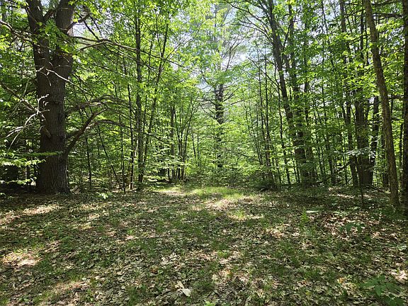 2nd image of 0 Quarry Road