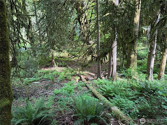 2nd image of 1111 Mountain Trail Road