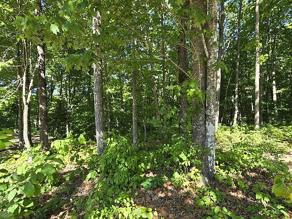 5th image of LOT 88 Grandview Way