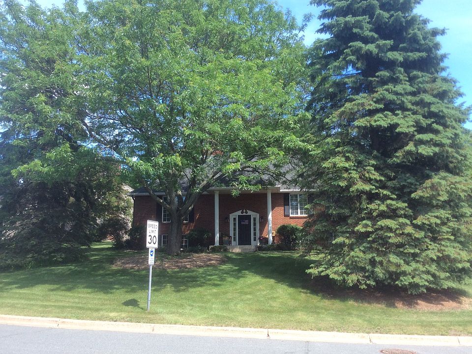 Front view....beautiful tree