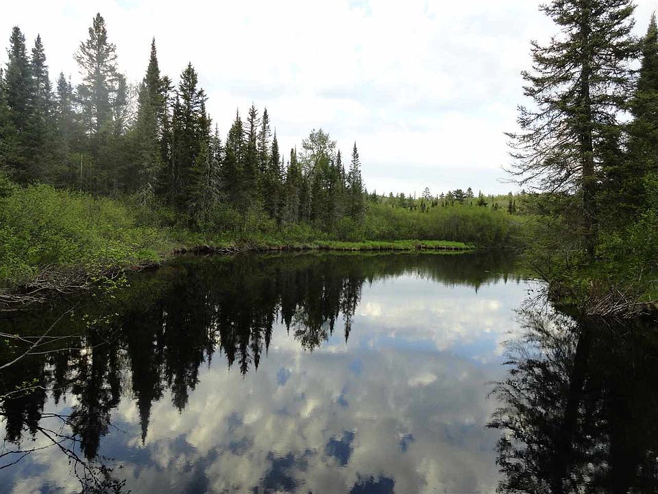 1st image of 40 Acres Peshekee Grade