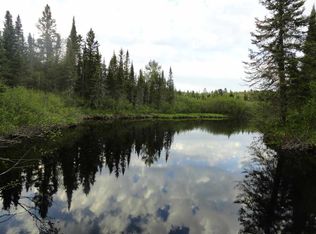 40 Acres Peshekee Grade, Michigamme, MI 49861