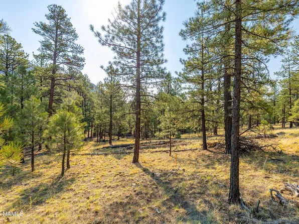 4195 N Subera Ln, Flagstaff, AZ 86001