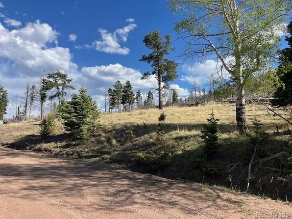 448 Wagon Mesa Loop, Fort Garland, CO 81133