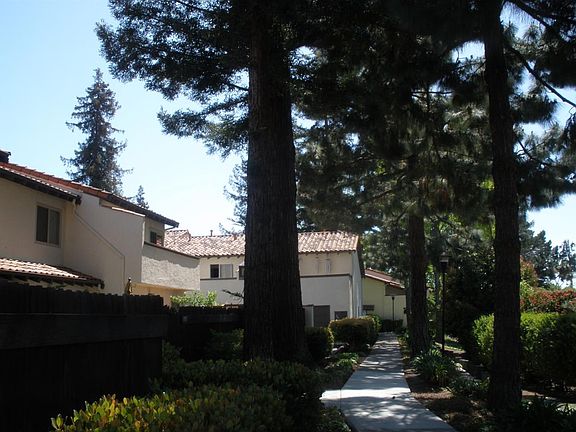 beautiful trees, shady drive way in front of the fenced yard