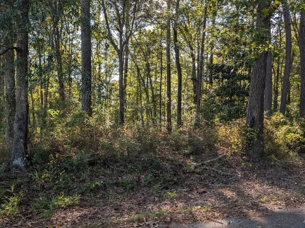 5 Leggett St Lot 5, Robersonville, NC 27871