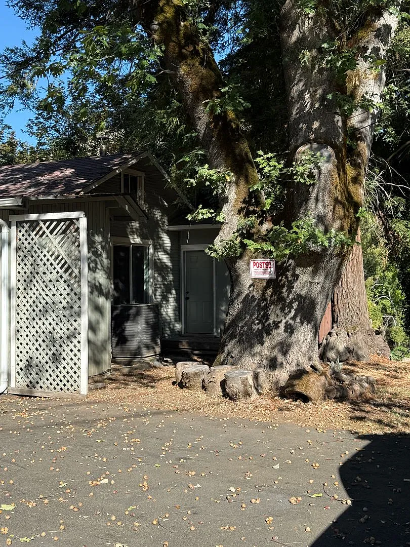 Rogue River Hwy — Photo 2