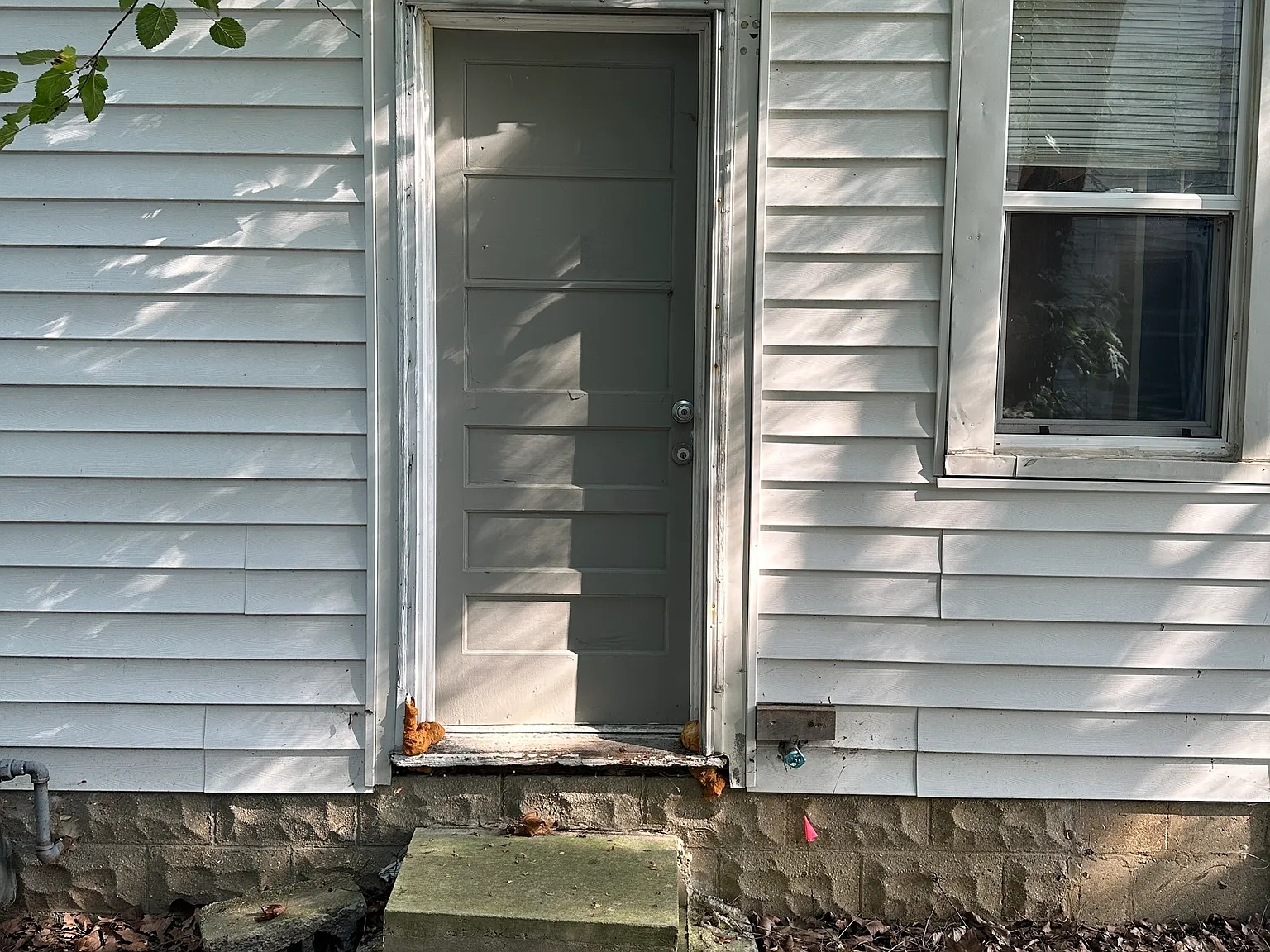 1 bed, 1.0 bath, 600 sqft, $800 — Photo 4